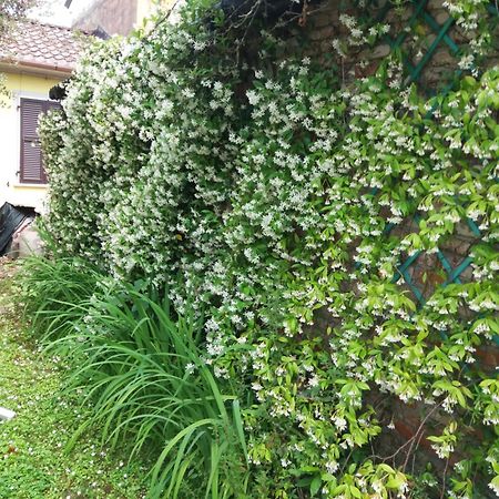 La Casa Del Tiglio Lägenhet Sarzana Exteriör bild