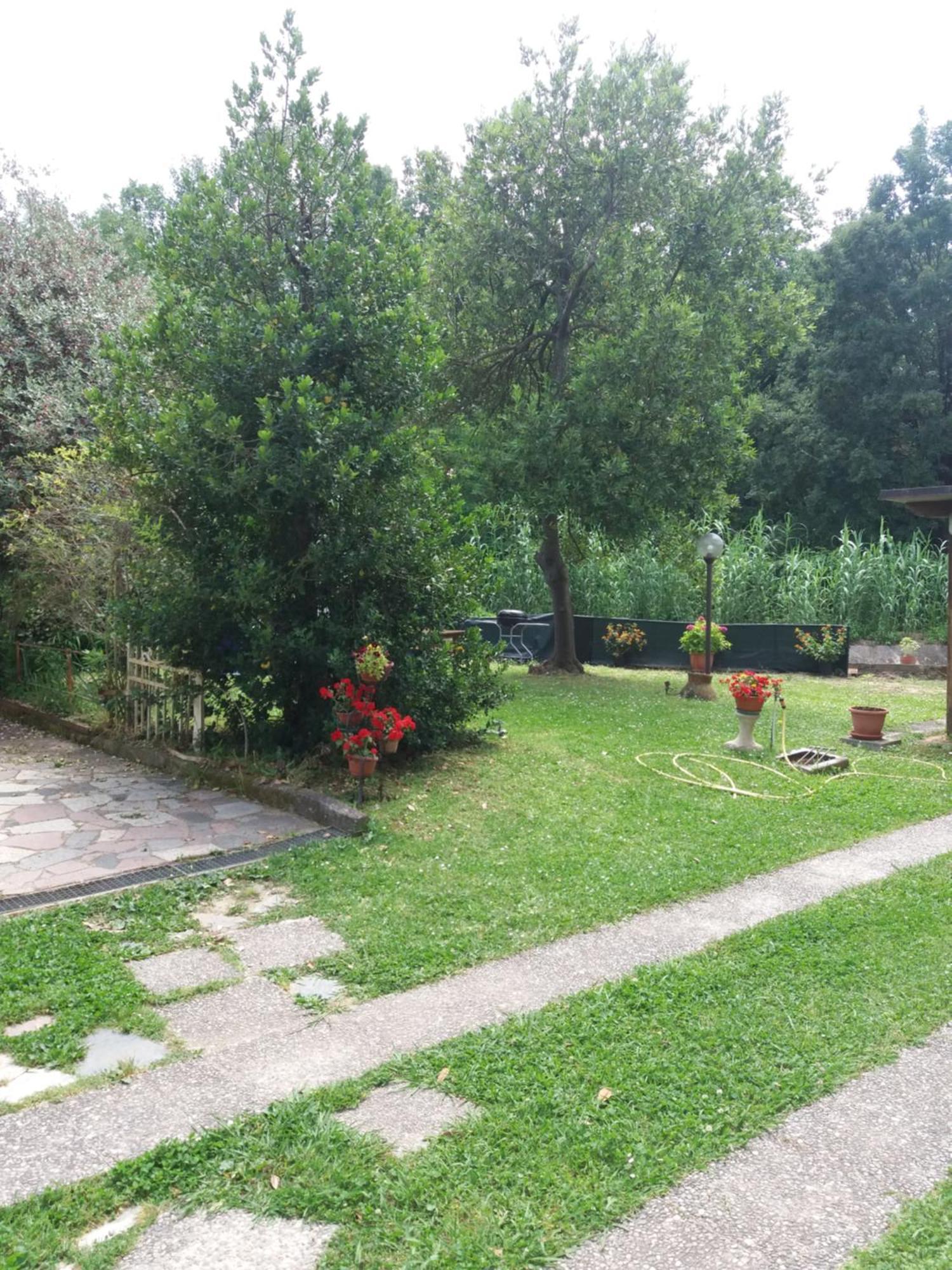 La Casa Del Tiglio Lägenhet Sarzana Exteriör bild